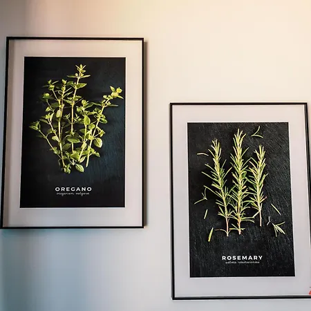 A Stylish Duplex Guests