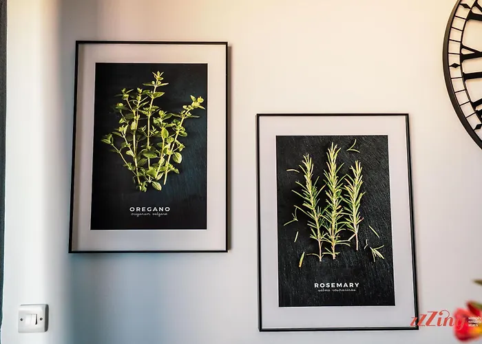 A Stylish Duplex Guests